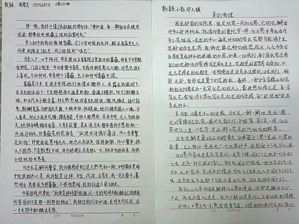 图片22.png